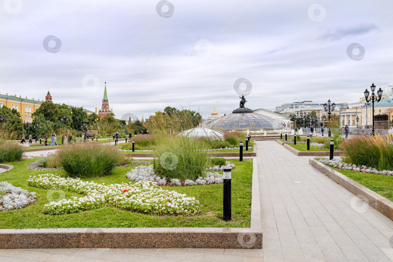 Скачать Москва, Манежная площадь. Клумбы с цветами и декоративным кустарником. фотосток Ozero