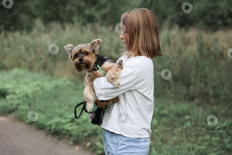 Скачать Девочка-подросток на прогулке в летнем парке со своим домашним любимцем йоркширским терьером. Ребенок выгуливает собаку фотосток Ozero
