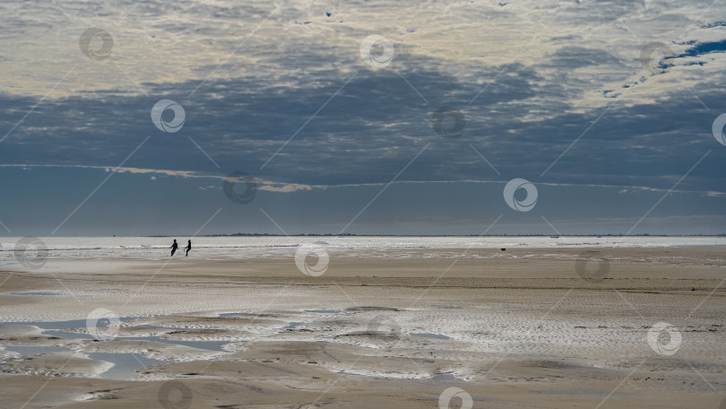 Скачать Отлив в океане. Лужицы воды на песке обнажившегося морского дна. фотосток Ozero