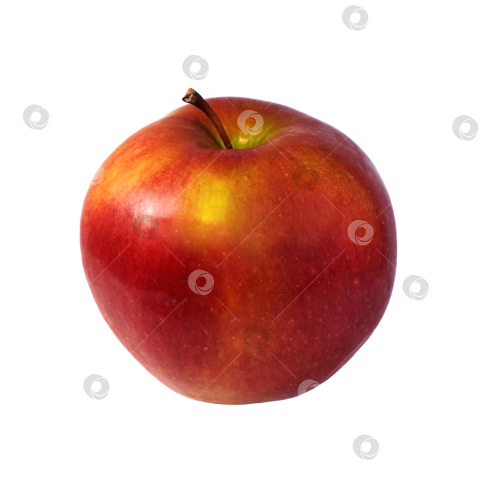 Скачать Макрофотография красного яблока, изолированного на белом фоне фотосток Ozero
