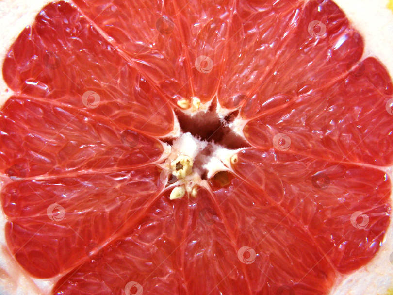 Скачать Макрофотография текстуры фона мякоти грейпфрута цитрусовых фотосток Ozero