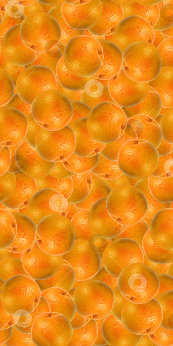 Скачать Грейпфрут цитрусовые бесшовный узор текстуры фона фотосток Ozero