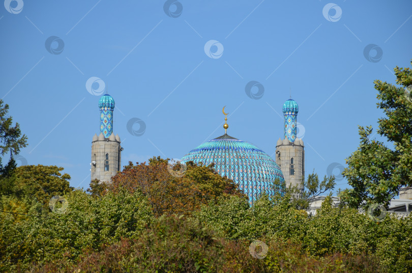 Скачать Соборная мечеть Санкт-Петербурга фотосток Ozero