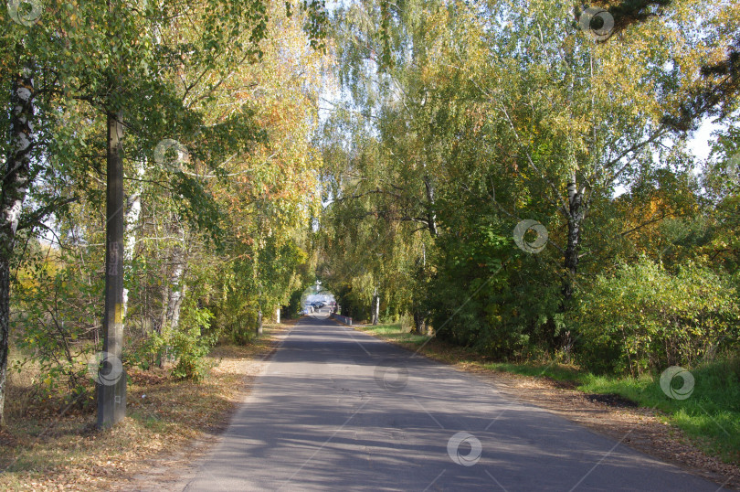 Скачать Дорога к храму фотосток Ozero