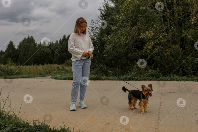 Скачать Девочка-подросток на прогулке в летнем парке со своим питомцем йоркширским терьером. Ребенок выгуливает собаку фотосток Ozero