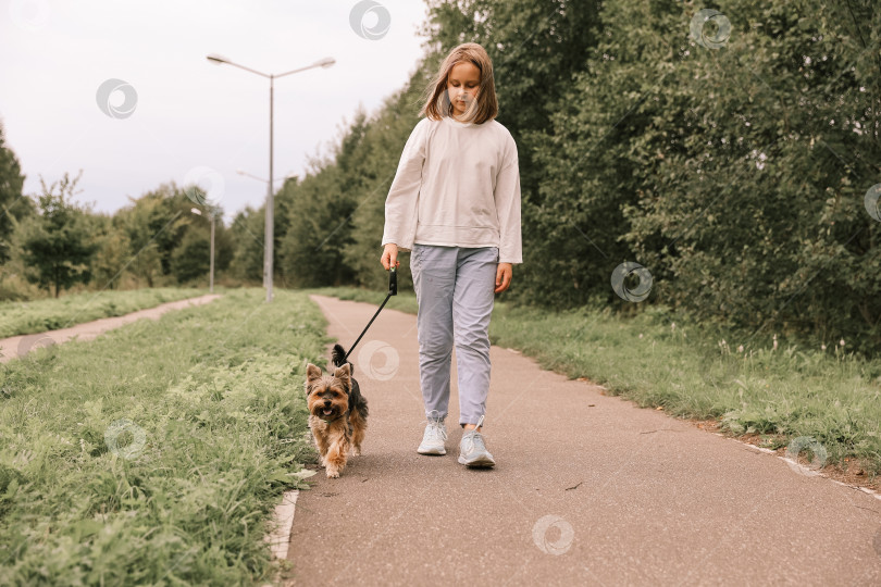 Скачать Девочка-подросток на прогулке в летнем парке со своим домашним любимцем йоркширским терьером. Ребенок выгуливает собаку фотосток Ozero