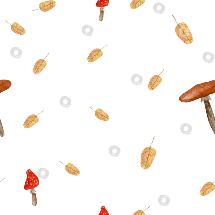 Скачать Акварельный узор с грибами и листьями, нарисованный от руки, принт с лесными растениями на белом фоне. Флора и фауна осеннего леса фотосток Ozero