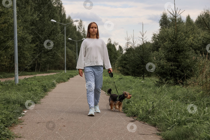 Скачать Девочка-подросток на прогулке в летнем парке со своим домашним любимцем йоркширским терьером. Ребенок выгуливает собаку фотосток Ozero