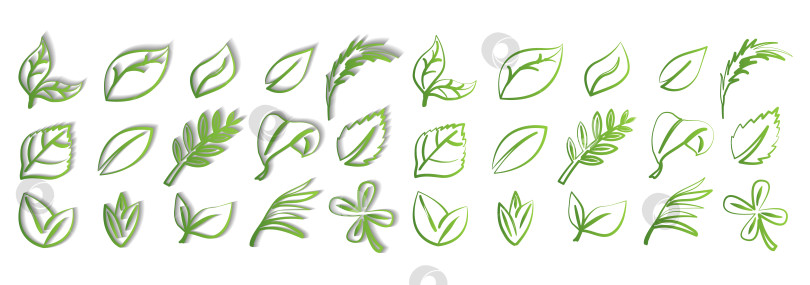 Скачать Набор зеленых листьев на белом фоне с тенью и без нее, для логотипов, дизайнов, символики зеленой планеты фотосток Ozero