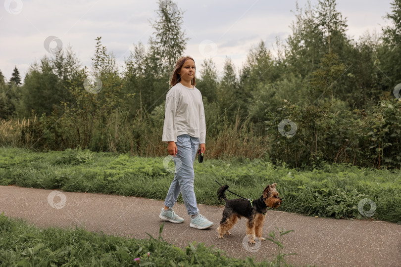 Скачать Девочка-подросток на прогулке в летнем парке со своим питомцем йоркширским терьером. Ребенок выгуливает собаку фотосток Ozero