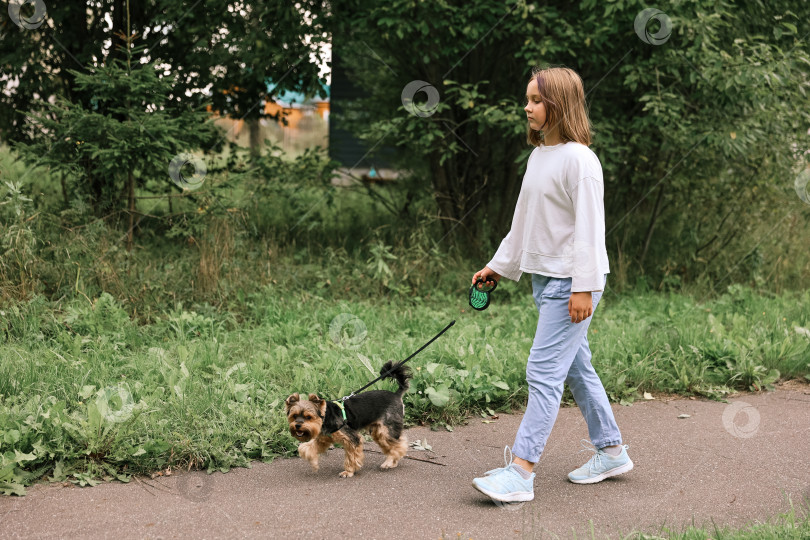 Скачать Девочка-подросток на прогулке в летнем парке со своим питомцем йоркширским терьером. Ребенок выгуливает собаку фотосток Ozero