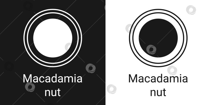Скачать Линейный значок ореха макадамия, контурный векторный знак, линейный значок, изолированный на белом фоне фотосток Ozero
