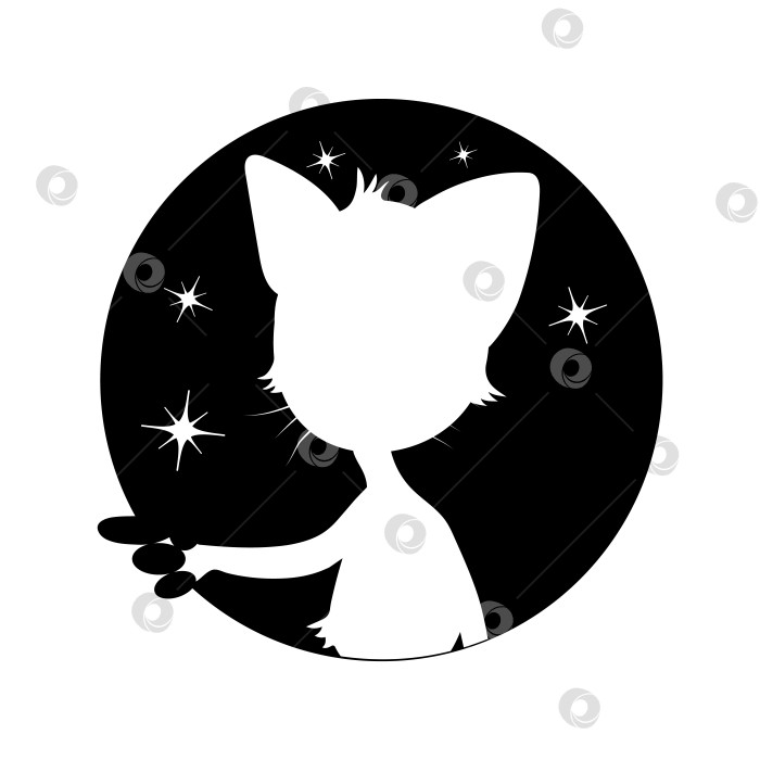 Скачать Силуэт кошки на фоне звездного неба, луна на белом, прозрачном фоне фотосток Ozero