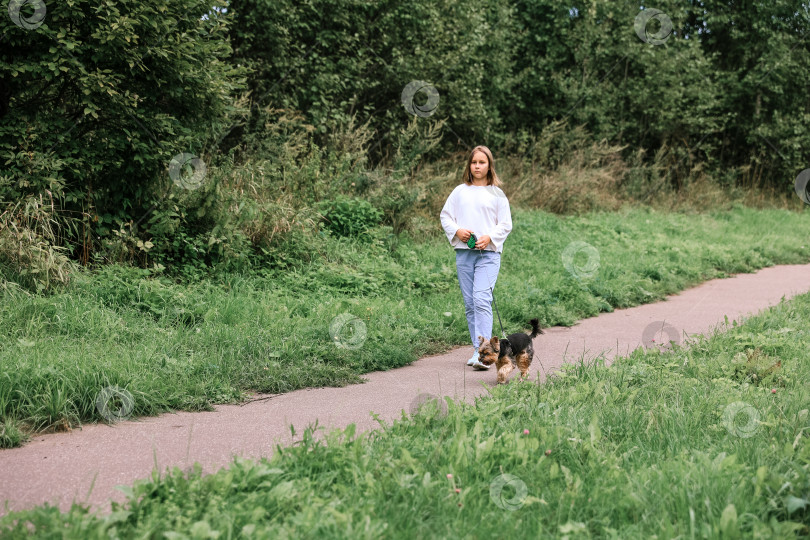 Скачать Девочка-подросток на прогулке в летнем парке со своим домашним любимцем йоркширским терьером. Ребенок выгуливает собаку фотосток Ozero