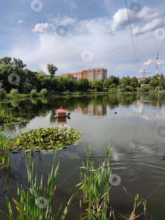 Скачать Травинское озеро. Город Пушкино. фотосток Ozero