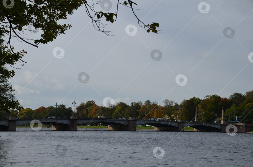 Скачать Каменноостровский мост в Санкт-Петербурге фотосток Ozero