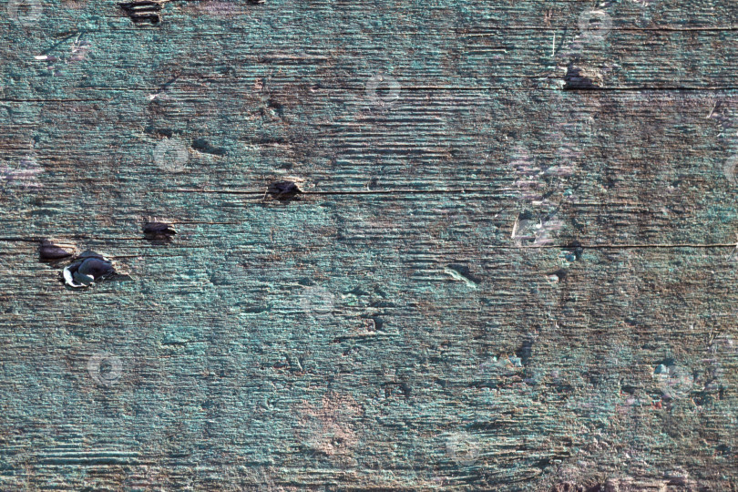 Скачать Текстура деревянной крашеной доски - винтажный деревянный фон. Крупный план старой выветренной деревянной доски, выкрашенной в голубой пастельный цвет, с облупившейся краской, трещинами и вмятинами фотосток Ozero