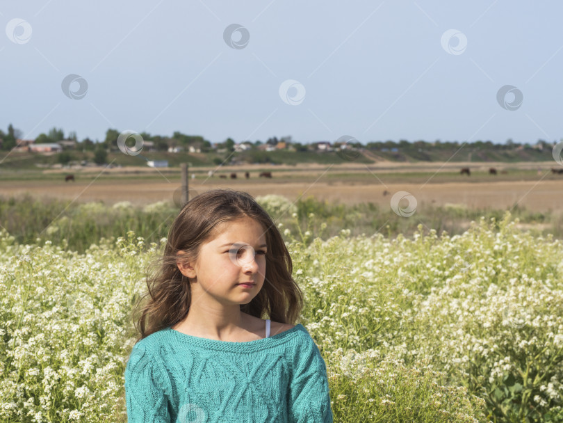 Скачать Красивая девочка-подросток с нежным личиком стоит на цветущем лугу на фоне сельской местности и смотрит вдаль. Девушка наслаждается экологически чистой природой фотосток Ozero