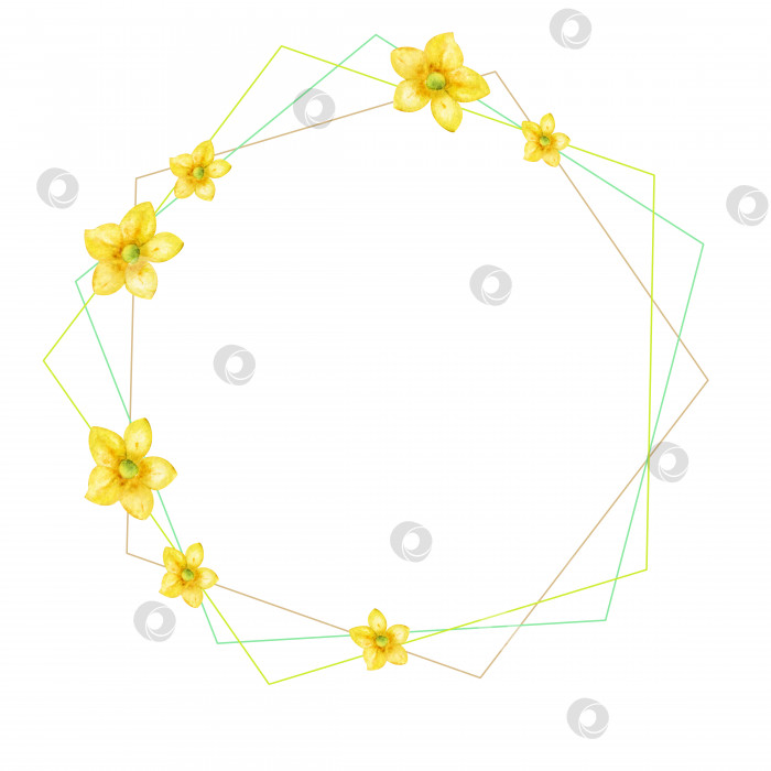 Скачать Геометрический рисунок, желтые цветы, ранункулюс, рамка, шестиугольник, рамка с цветами. фотосток Ozero