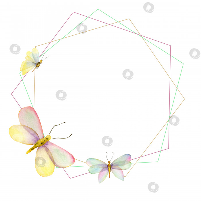Скачать Геометрический рисунок, бабочки, мотылек, рамка, шестиугольник, рамка с бабочками, насекомые. фотосток Ozero