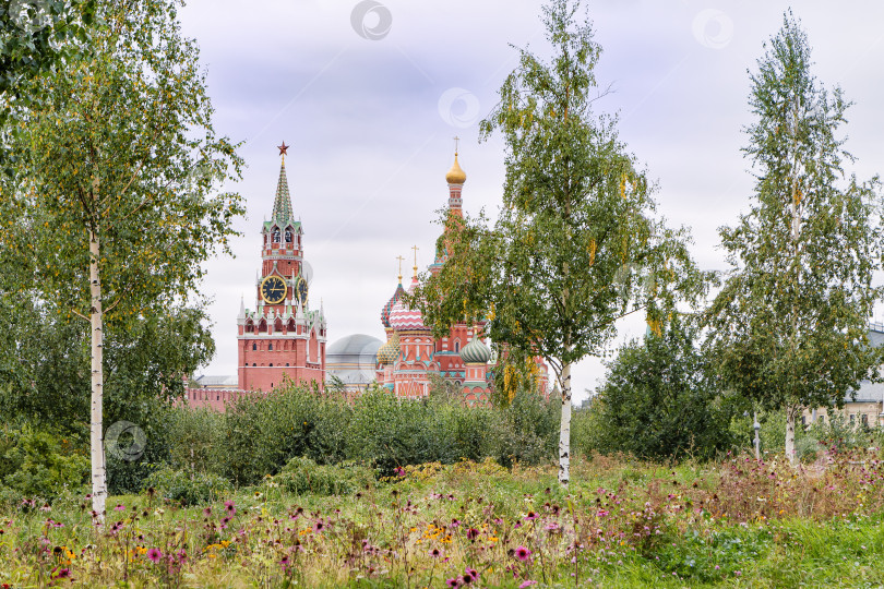 Скачать Вид на Кремль сквозь березы. фотосток Ozero