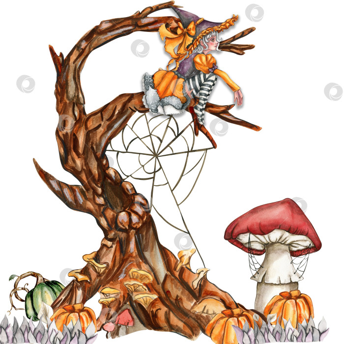 Скачать Акварельная рисованная композиция осени с тыквами, грибами и ведьмой. Нарисованная от руки иллюстрация осени. Иллюстрация Хэллоуина для наклеек, приглашений, плакатов, упаковки, дизайнов, открыток фотосток Ozero