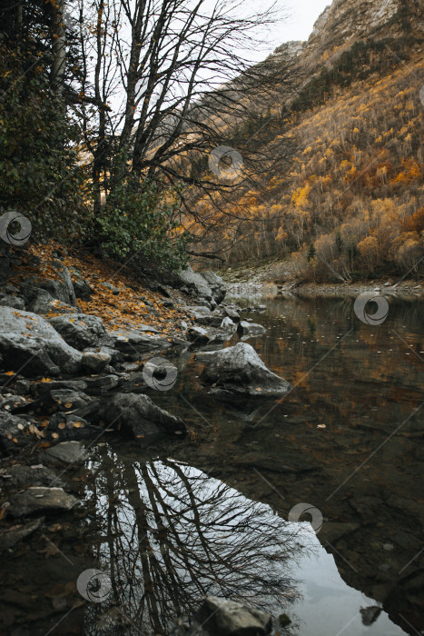 Скачать Горы осенью фотосток Ozero