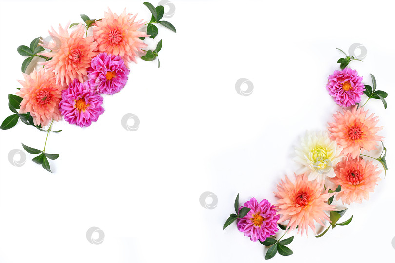 Скачать Осенняя цветочная композиция с цветами георгина, плоский абстрактный фон, минималистичная концепция для праздника, дня благодарения. Открытка на день матери, с днем рождения, свадьба, место для текста, выборочный фокус фотосток Ozero