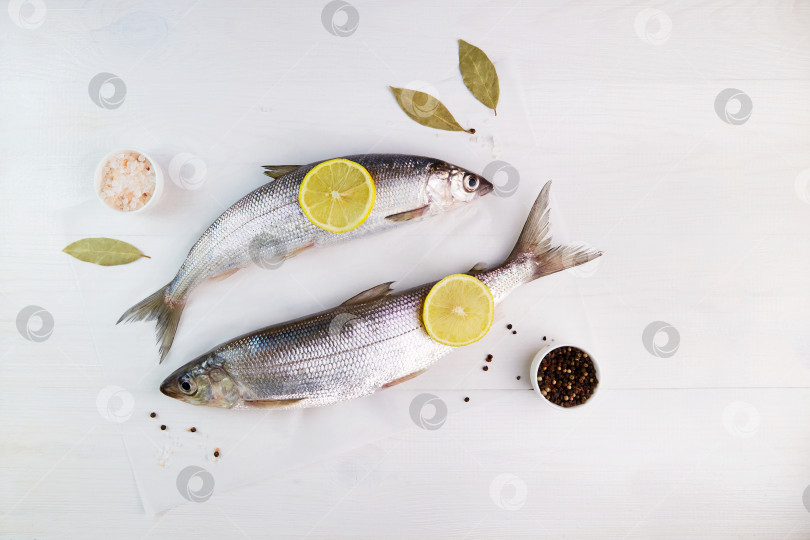 Скачать Сырая свежая рыба со специями, лимоном на белом фоне. фотосток Ozero