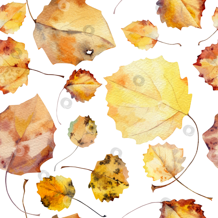 Скачать Бесшовный акварельный узор с осенними листьями осины фотосток Ozero