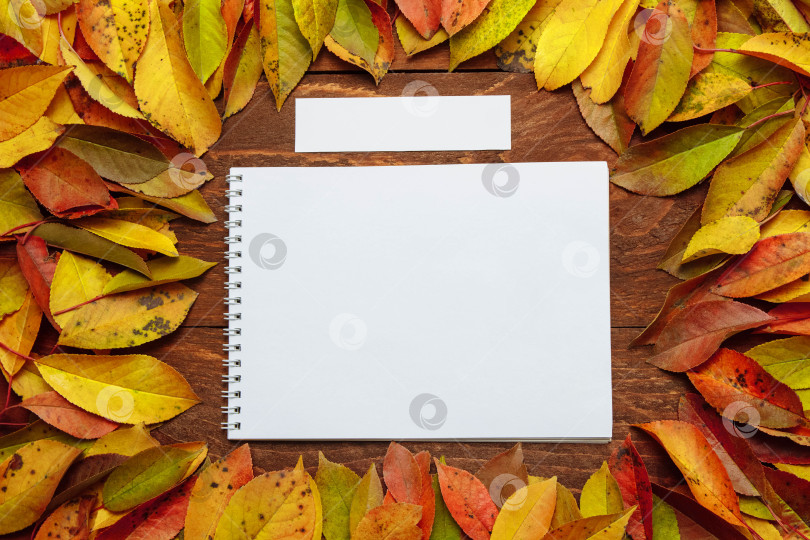 Скачать Белый блокнот на пружине с прямоугольной бумажной карточкой на коричневом деревянном столе в рамке из осенних листьев фотосток Ozero