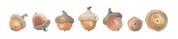 [object Object] undefined