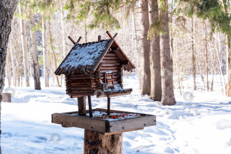 Скачать кормушка для птиц в виде шалаша из натуральных материалов установлена в зимнем заснеженном лесу фотосток Ozero