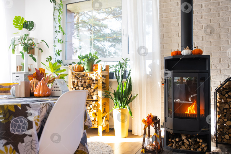 Скачать Яркий солнечный интерьер дома с черной металлической стальной каминной печью с огнем и дровами с декором Хэллоуина и осенним настроением. Уютный домашний очаг в интерьере с комнатным растением в горшке фотосток Ozero