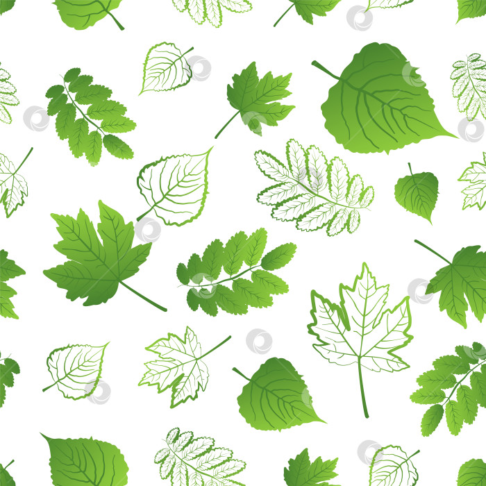 Скачать Бесшовный узор из свежих разноцветных сочных зеленых листьев на белом фоне фотосток Ozero