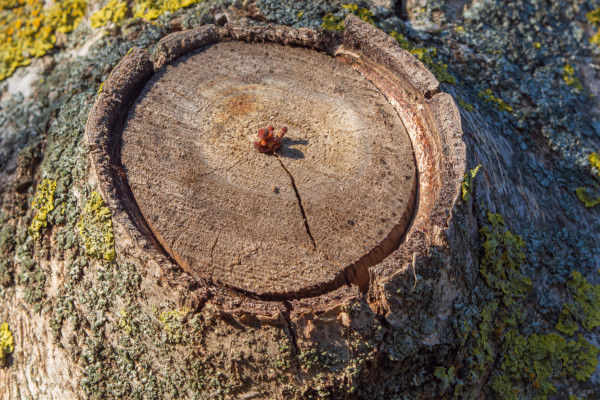 [object Object] undefined