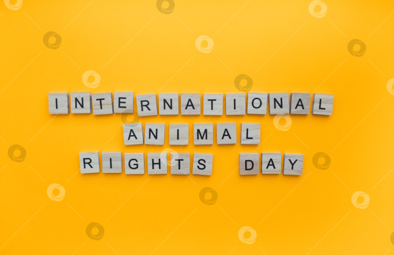 Скачать 10 декабря, Международный день защиты прав животных, минималистичный баннер с надписью деревянными буквами фотосток Ozero