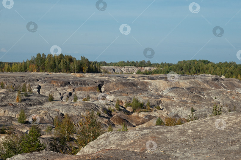 Скачать Природный ландшафт фотосток Ozero