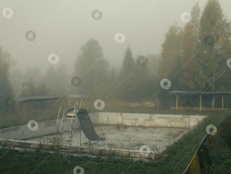 Скачать заброшенный бассейн с горкой в тумане посреди леса фотосток Ozero
