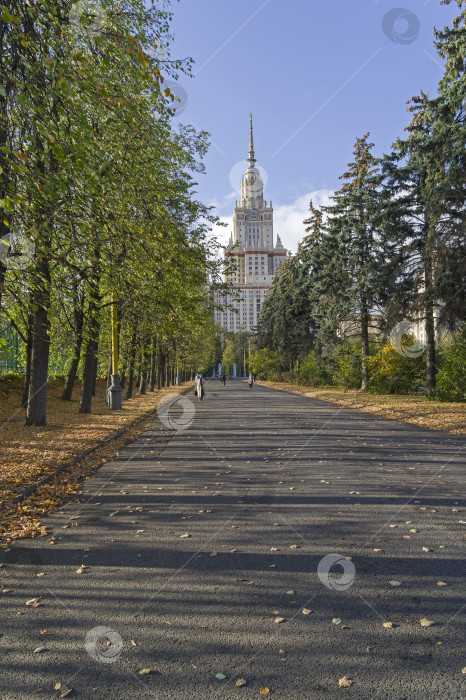 Скачать Парковая аллея, ведущая к Главному корпусу Московского государственного университета. фотосток Ozero