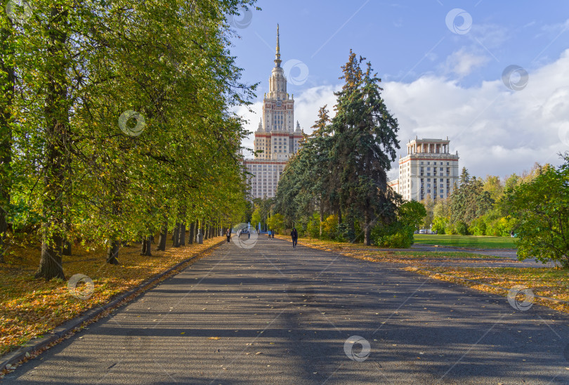 Скачать Парковая аллея, ведущая к Главному корпусу Московского государственного университета. фотосток Ozero