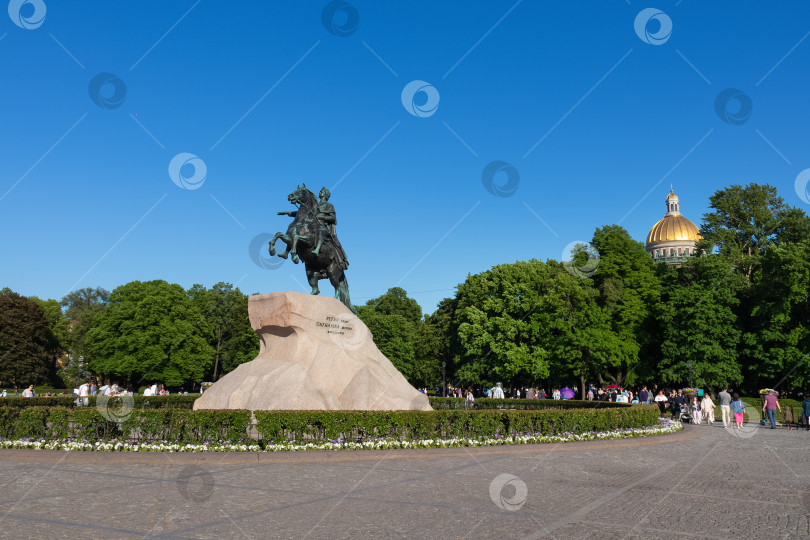 Скачать Памятник Петру Первому на Сенатской площади, конная статуя Медный всадник и купол Исаакиевского собора среди деревьев, солнечный летний день - Санкт-Петербург, Россия, Июнь 2022 фотосток Ozero