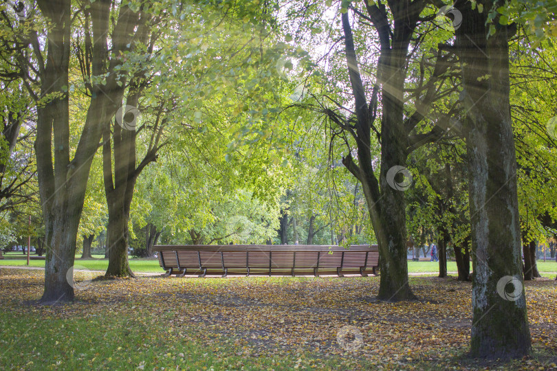 Скачать Городской парк фотосток Ozero