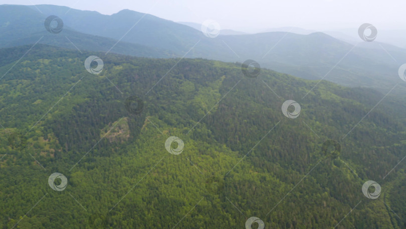 Скачать Горная река в лесу. Остров Сахалин. 2019 год. фотосток Ozero