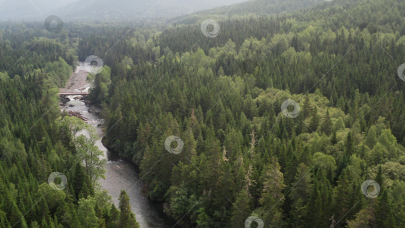 Скачать Горная река в лесу. Остров Сахалин. 2019 год. фотосток Ozero
