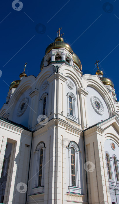 Скачать Спасо-Преображенский кафедральный собор. Хабаровск. 2019 год. фотосток Ozero