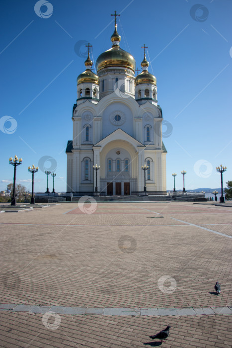 Скачать Спасо-Преображенский кафедральный собор. Хабаровск. 2019 год. фотосток Ozero