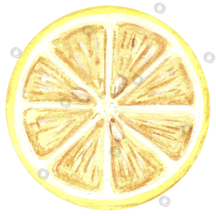 Скачать Акварельный рисунок круглой желтой дольки лимона, нарисованная от руки иллюстрация на белом фоне для вашего дизайна, украшения приглашений и открыток, изготовления наклеек, схемы вышивки, упаковки фотосток Ozero