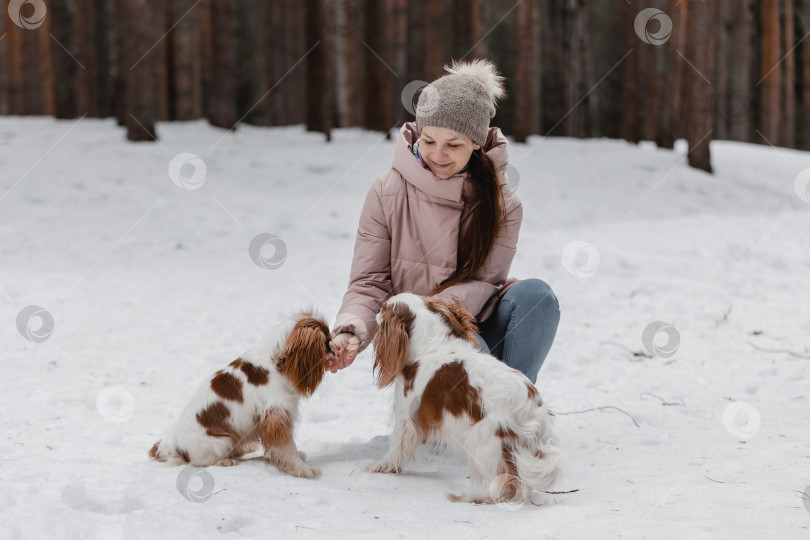 Скачать Симпатичная женщина играет с собаками в зимнем парке, лесу фотосток Ozero