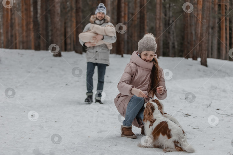 Скачать Счастливая молодая кавказская семья играет с собакой зимой в сосновом лесу фотосток Ozero